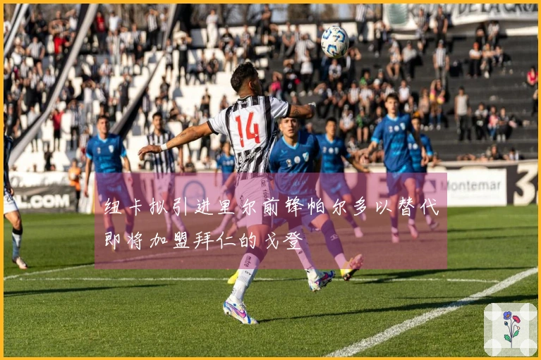 纽卡拟引进里尔前锋帕尔多以替代即将加盟拜仁的戈登