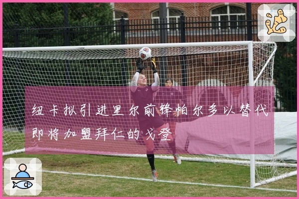 纽卡拟引进里尔前锋帕尔多以替代即将加盟拜仁的戈登